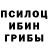 Галлюциногенные грибы Magic Shrooms Sir Vilhelm
