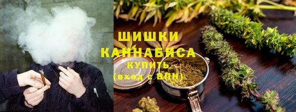 mdpv Белокуриха