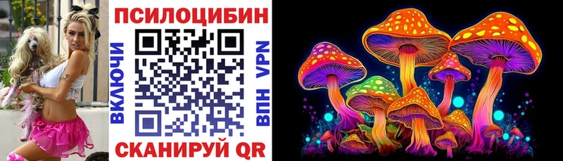 Галлюциногенные грибы мицелий  MEGA tor  Сланцы 