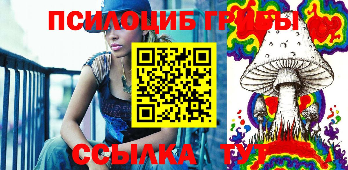 Сланцы  Псилоцибиновые грибы MAGIC MUSHROOMS  Вход с VPN 